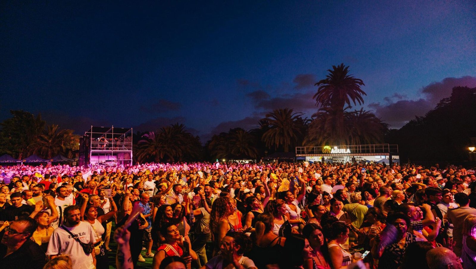 Street parties (everyone is the dj but no one is sober)
