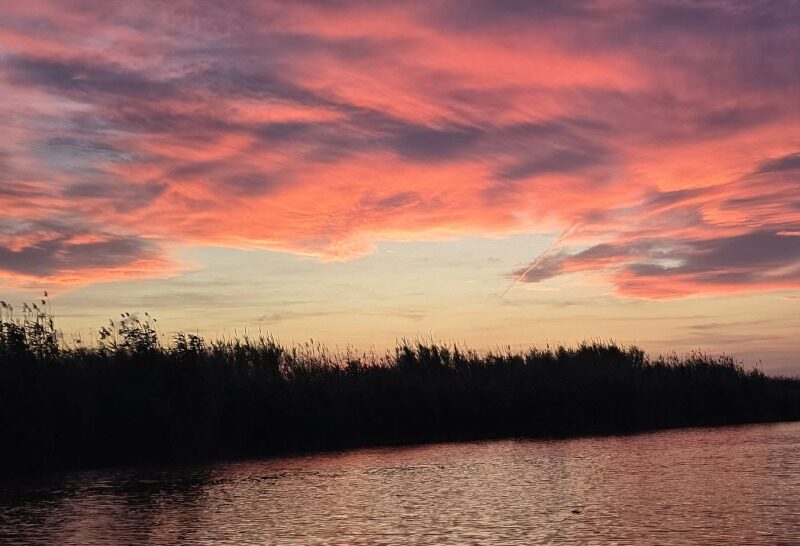 L'albufera