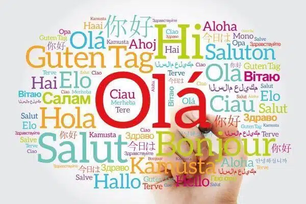 Services optimisation linguistique